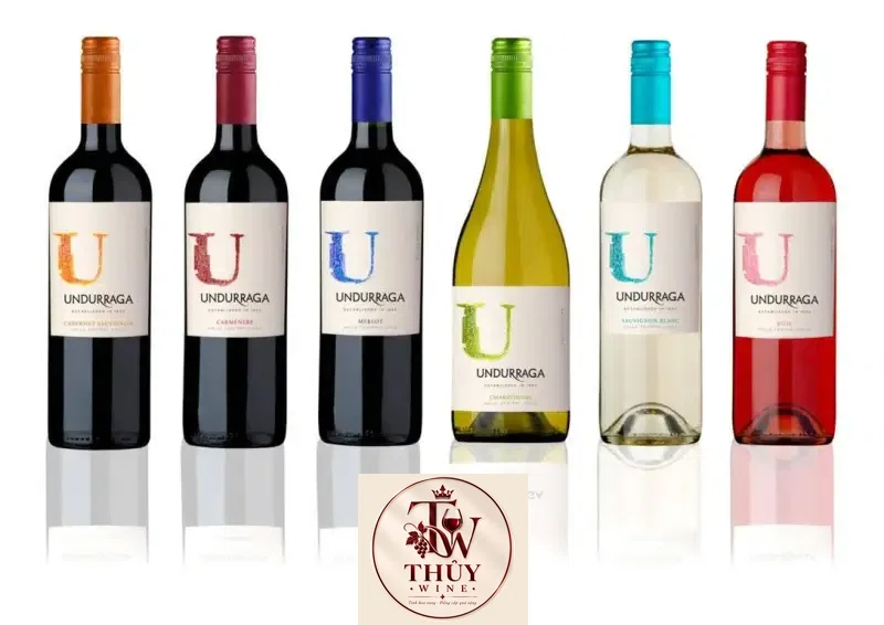 Vang chile Undurraga Chardonnay