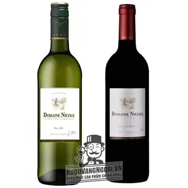 Vang Pháp Domaine Nicole Coteaux de Blessiless
