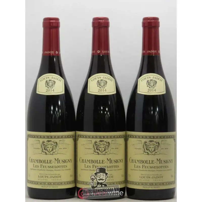 Địa chỉ bán vang phap chambolle musigny les amoureuses louis jadot giá rẻ tại Hà Nội