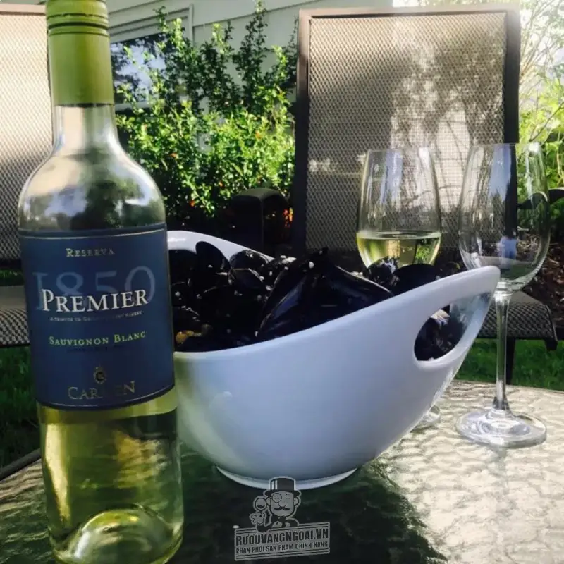 Vang Chile CARMEN PREMIER SAUVIGNON BLANC