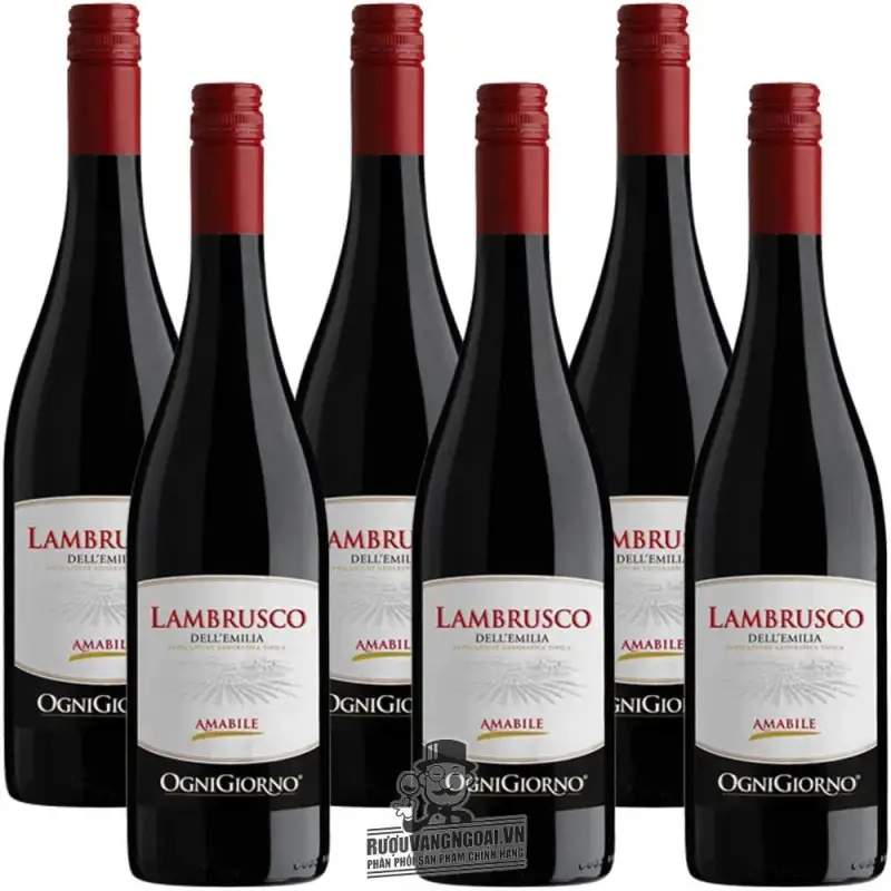 Mua vang y lambrusco dell emilia ogni giorno giá rẻ tại Sài Gòn