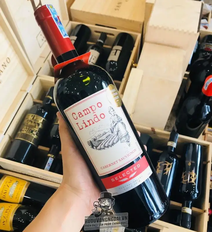 Giá sale: 235,000đ - Vang Chile Campo Lindo Selected hảo hạng