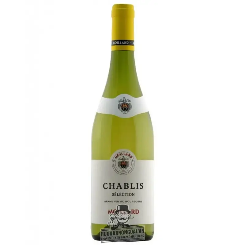 Rượu Vang Pháp MOILLARD CHABLIS