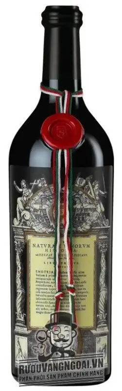 Vang Ý Salvano Barolo Riserva Vinorum