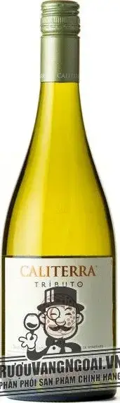 Vang Chile CALITERRA Tributo Sauvignon Blanc