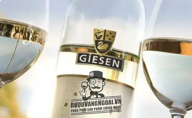 Vang New Zealand GIESEN Sauvignon Blanc