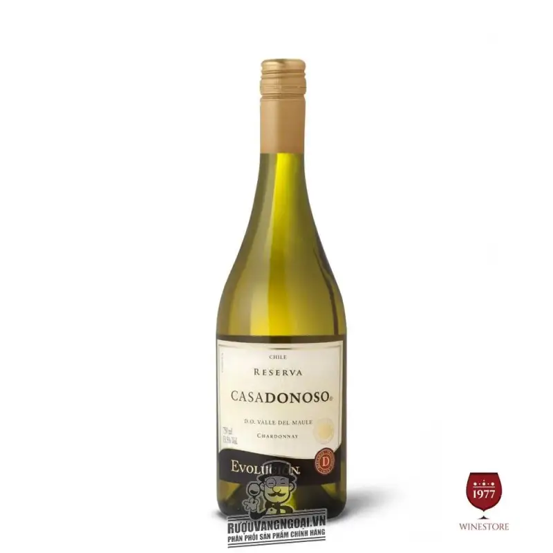 Vang Chile Casadonoso Evolucion Reserva Chardonnay