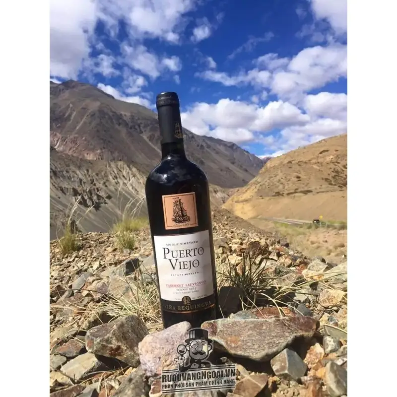Vang Chile Mác gỗ Puerto Viejo Cabernet Sauvignon
