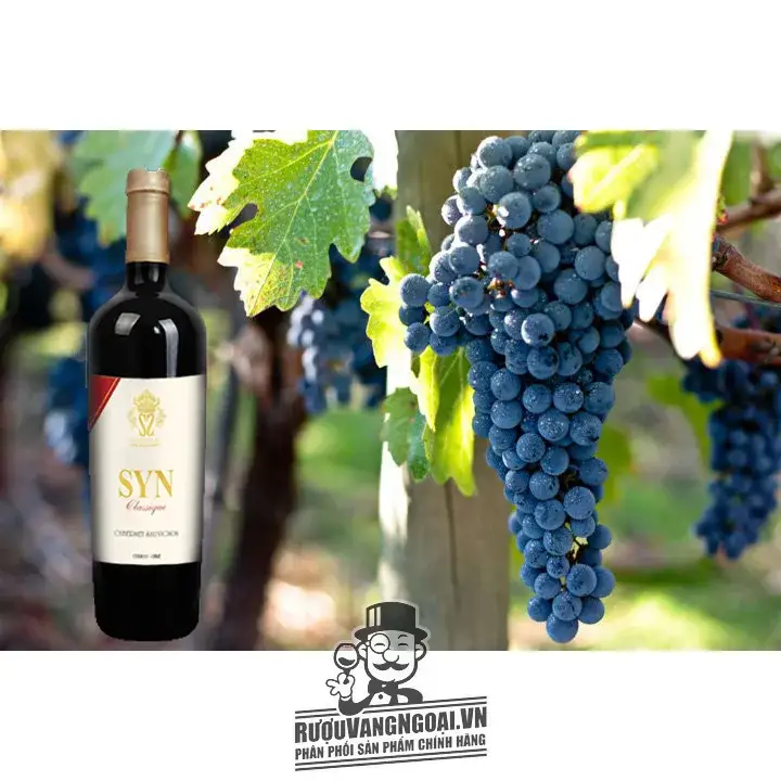 VANG CHILE SYN CLASSIQUE CABERNET SAUVIGNON