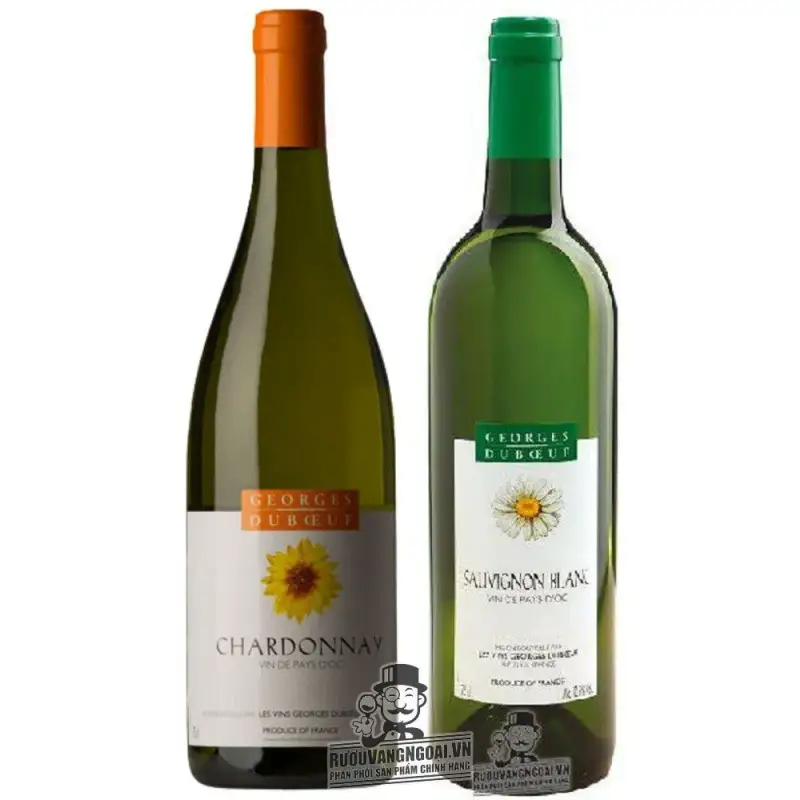 Vang Pháp Georges Duboeuf Pays White