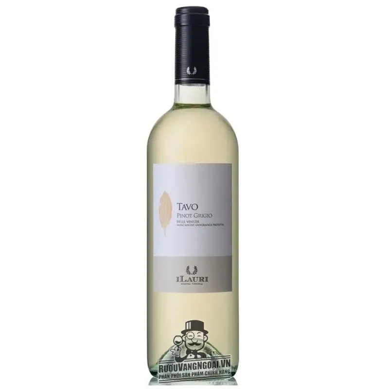 Vang Ý ILauri Tavo Pinot Grigio