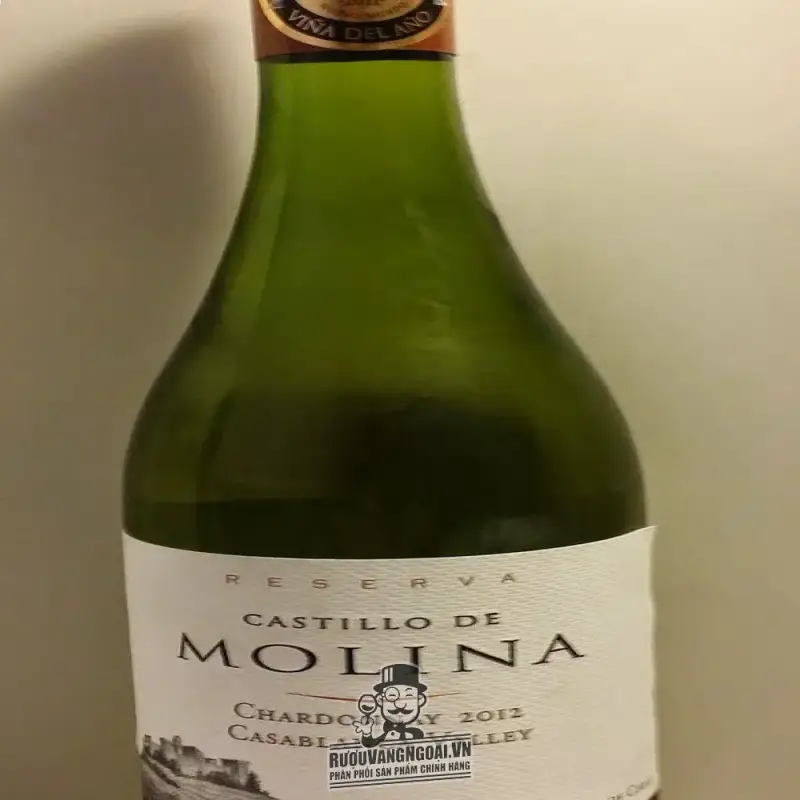 Giá vang chile castillo de molina reserva chardonnay chiet khau cao