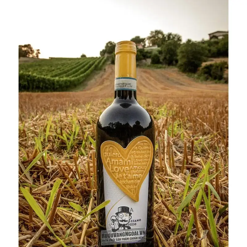 Vang đỏ Amami Montepulciano
