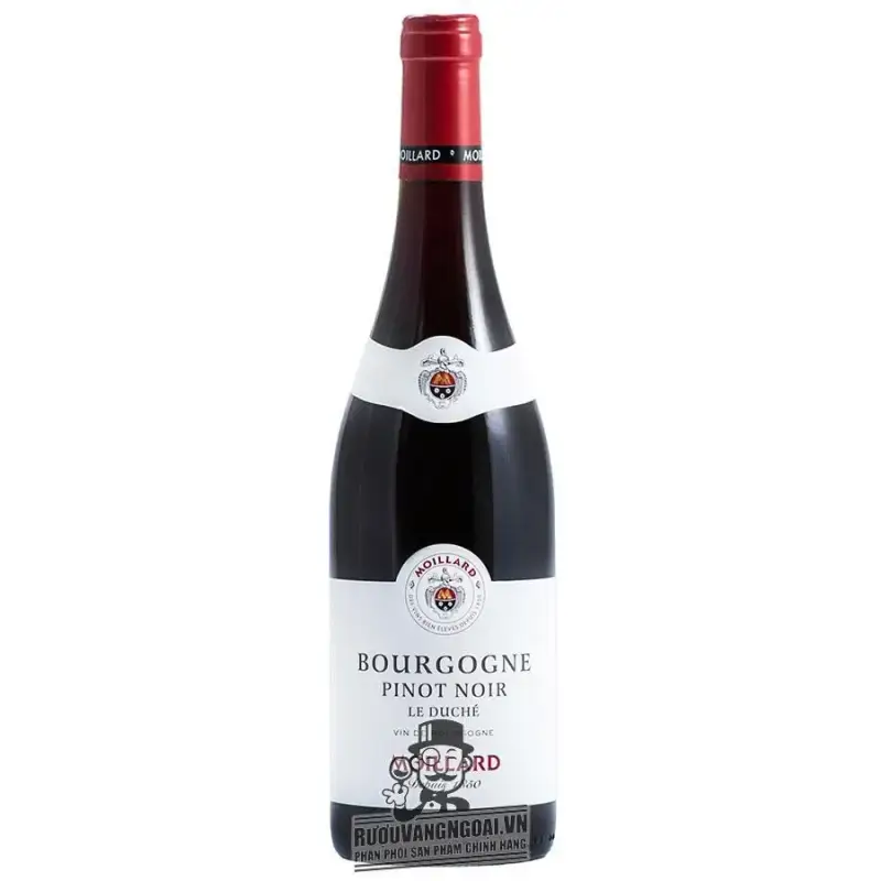 Vang Pháp MOILLARD BOURGOGNE PINOT NOIR