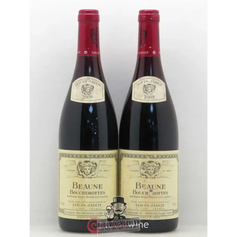 Vang Pháp Beaune Boucherottes Louis Jadot