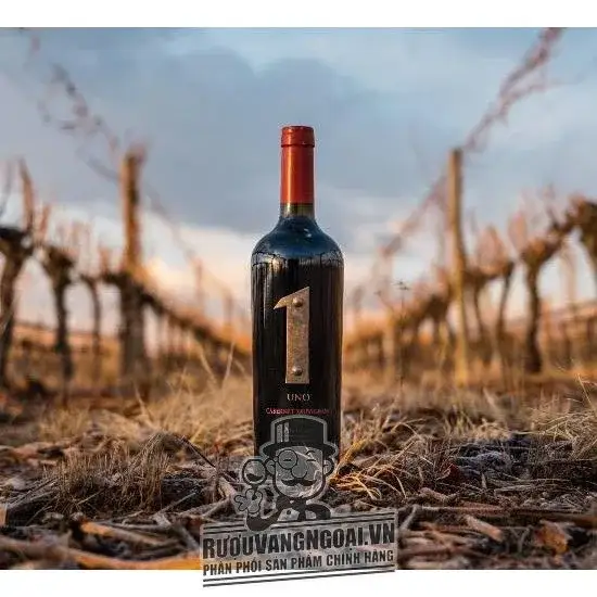 Vang Argentina Antigal One Malbec La Dolores Vineyard
