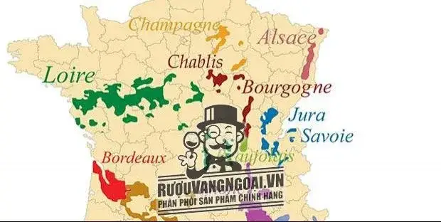Mẹo mua sắm rượu vang theo từng vùng miền. – Hãy cùng chia sẻ và ...