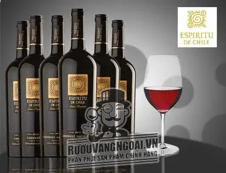 Kết quả hình ảnh cho espiritu de chile gran reserva cabernet sauvignon