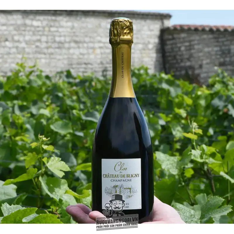 ruou champagne clos du chateau de bligny brut nature mua ở đâu giá rẻ nhất