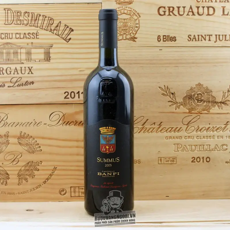 Vang Ý Summus Castello Banfi