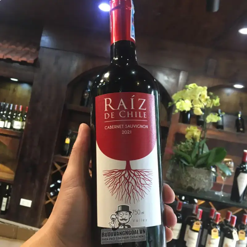 Vang Chile Raiz De Chile Cabernet Sauvignon