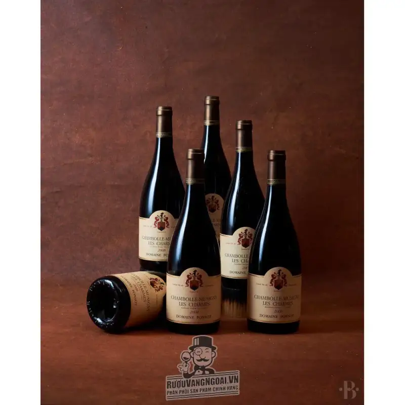 Vang Pháp Chambolle Musigny Les Charmes Domaine Ponsot