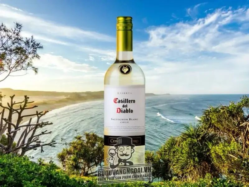 Vang Chile Casillero Del Diablo Sauvignon Blanc