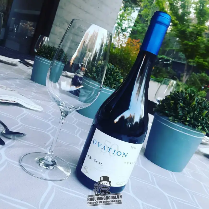 Địa chỉ bán vang chile ovation ravanal nam syrah giá rẻ tại Hà Nội