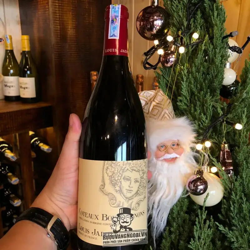 Địa chỉ bán vang phap louis jadot coteaux bourguignon do giá rẻ tại Sài Gòn