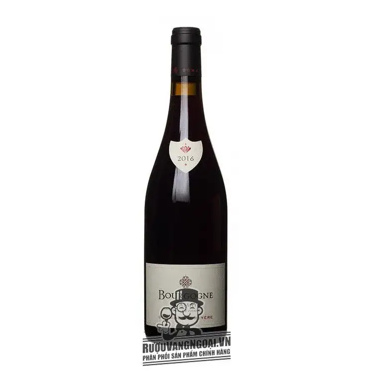 Vang Pháp Bourgogne Gamay Domaine Labruyere