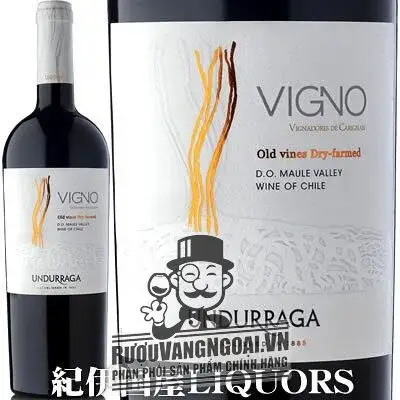Vang Chile VIGNO UNDURRAGA