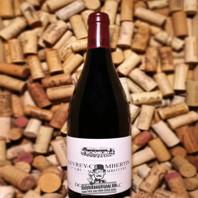 Địa chỉ bán vang phap gevrey chambertin st cru aux combottes domaine dujac giá rẻ nhất
