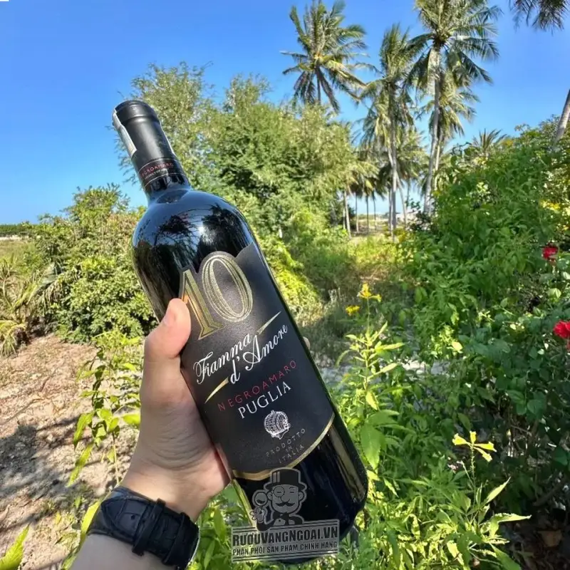Địa chỉ bán vang y fiamma d amore negroamaro puglia gia tot giá rẻ tại Hà Nội