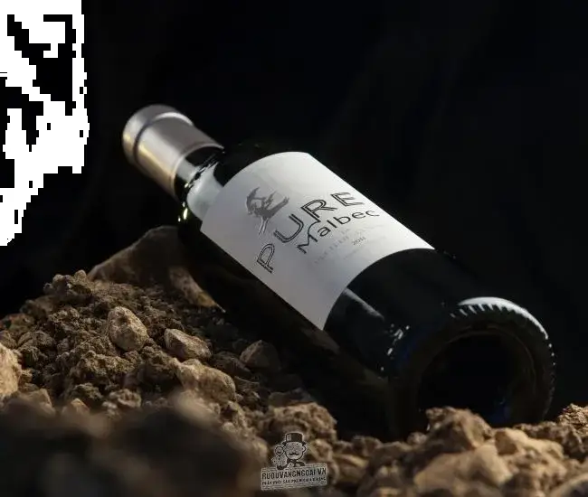 Vang Pháp Chateau Pech De Jammes Pure Malbec Cahor