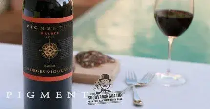 Rượu vang Pháp Pigmentum red Cotes de Gascogne