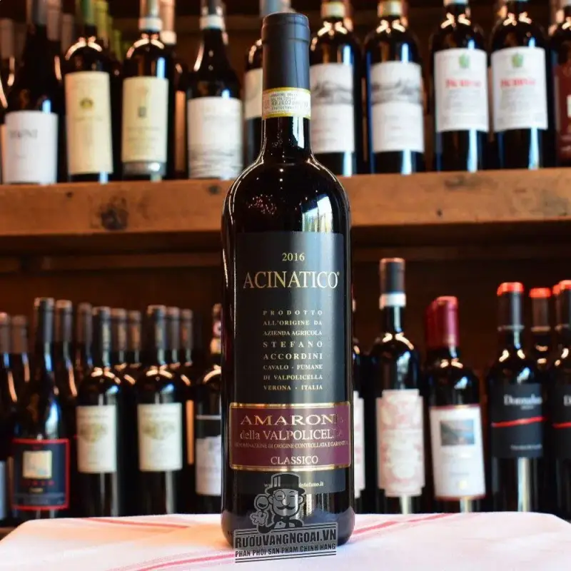 Mua ruou vang acinatico amarone della valpolicella giá rẻ tại Sài Gòn