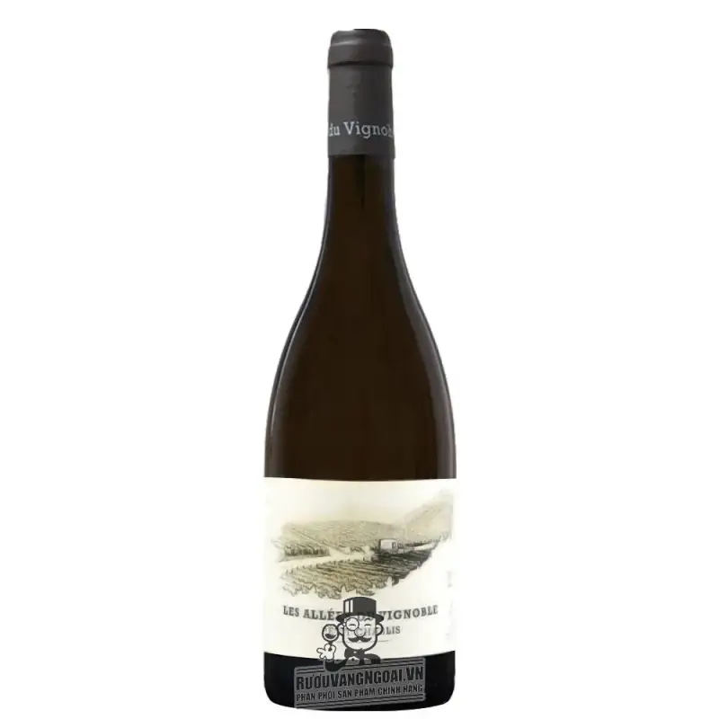 Vang Pháp Les Allees Du Vignoble Petit Chablis uống ngon