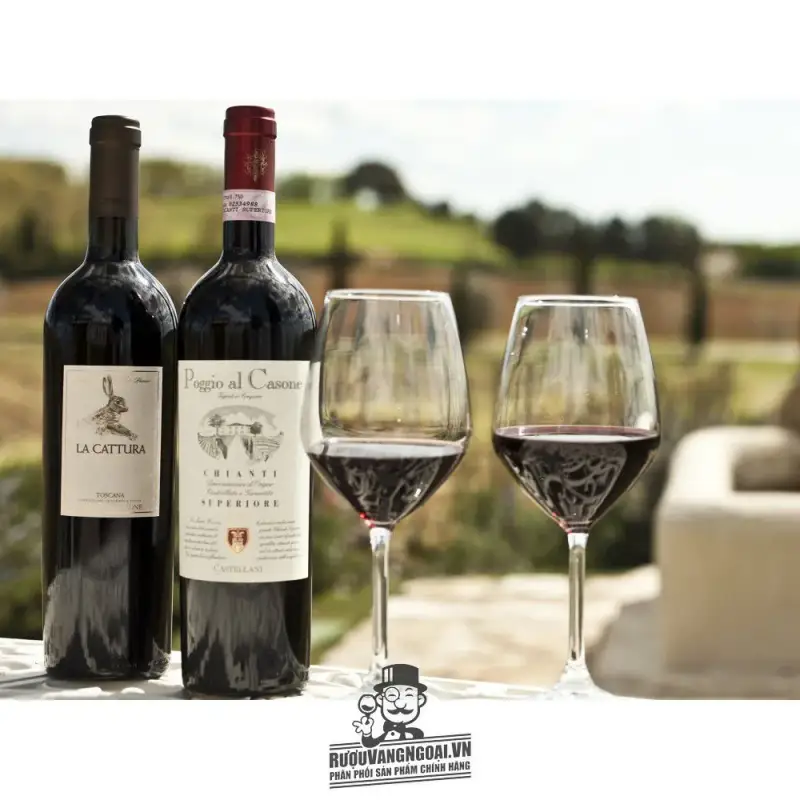 Địa chỉ bán ruou vang casone toscana giá rẻ tại Sài Gòn
