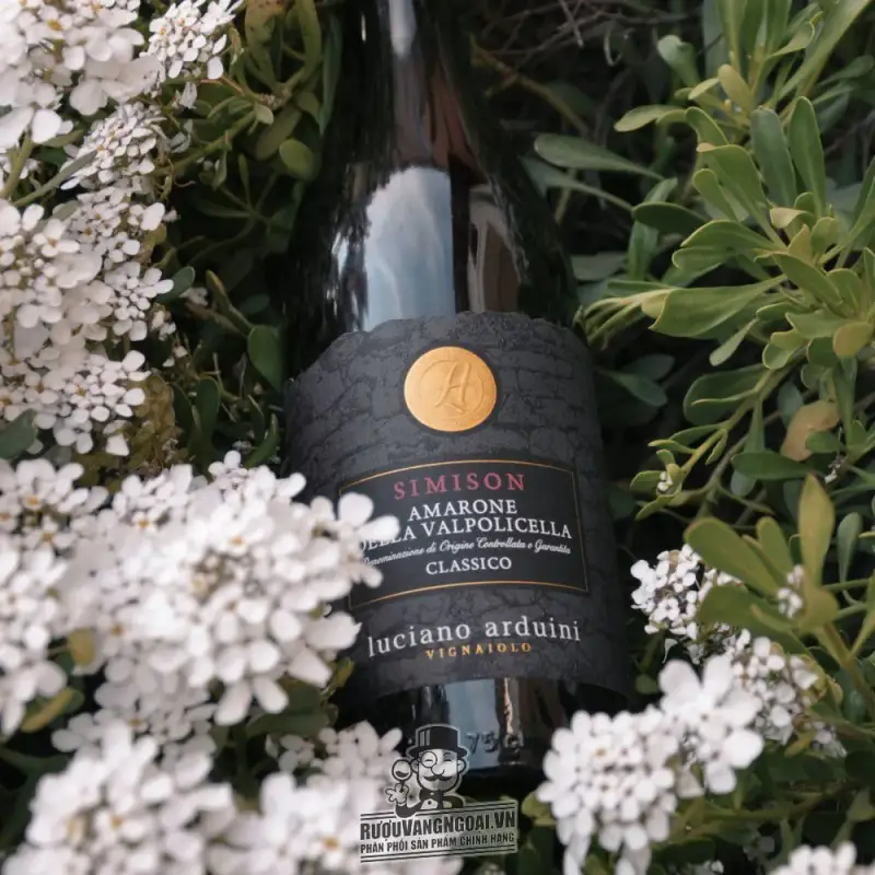 vang y amarone simison della vapolicella clasico docg giá bao nhiêu