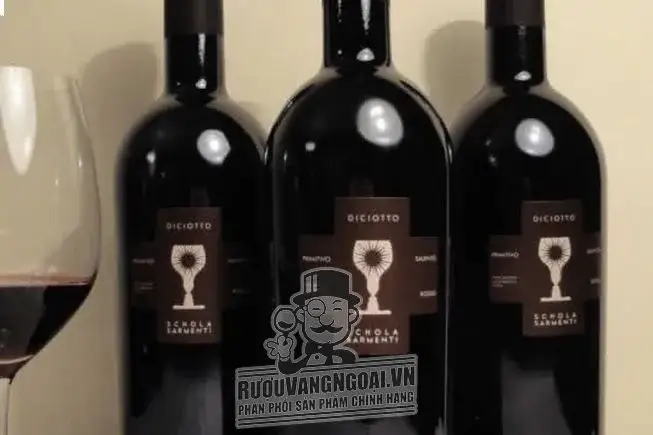 Kết quả hình ảnh cho vang ý diciotto primitivo