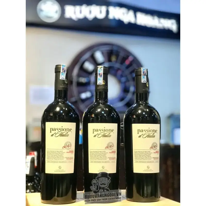 Vang Ý PASSIONE D‘ITALIA SALICE SALENTINO NEGROAMARO RISERVA