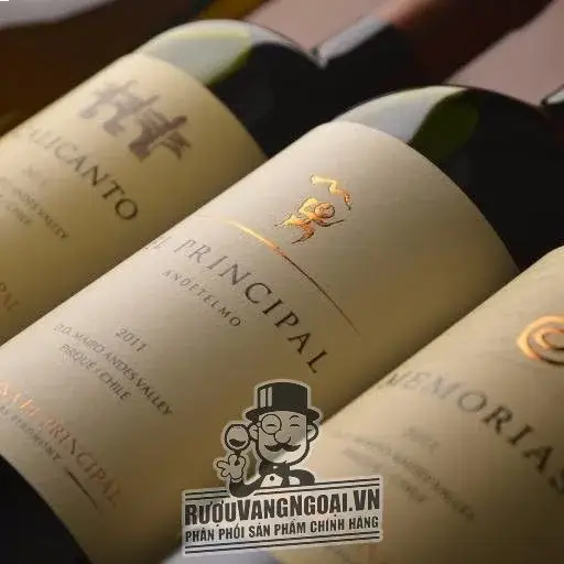 Rượu Vang Chile EL PRINCIPAL