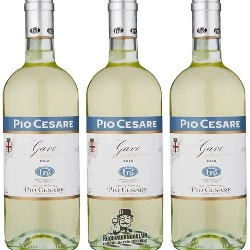 vang-y-pio-cesare-gavi