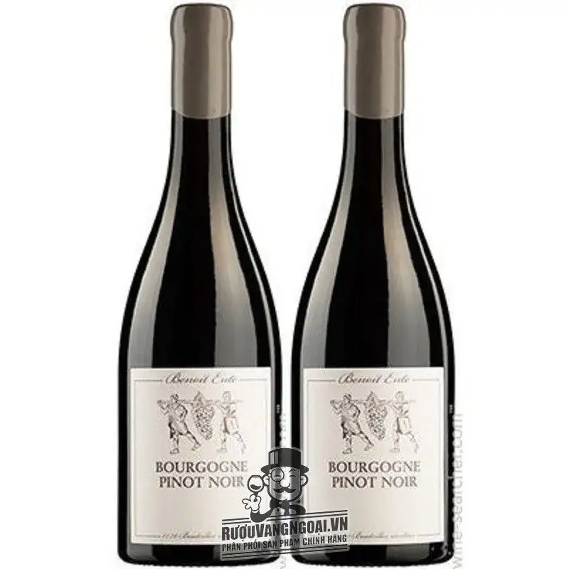 Mua pinot noir benoit ente giá rẻ tại Hà Nội