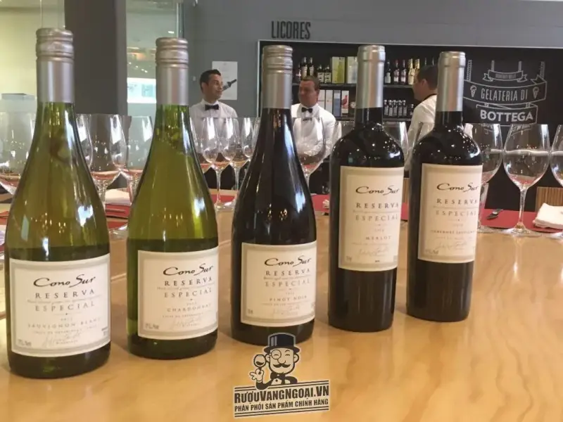 Vang Chile CONO SUR RESERVA ESPECIAL SAUVIGNON BLANC
