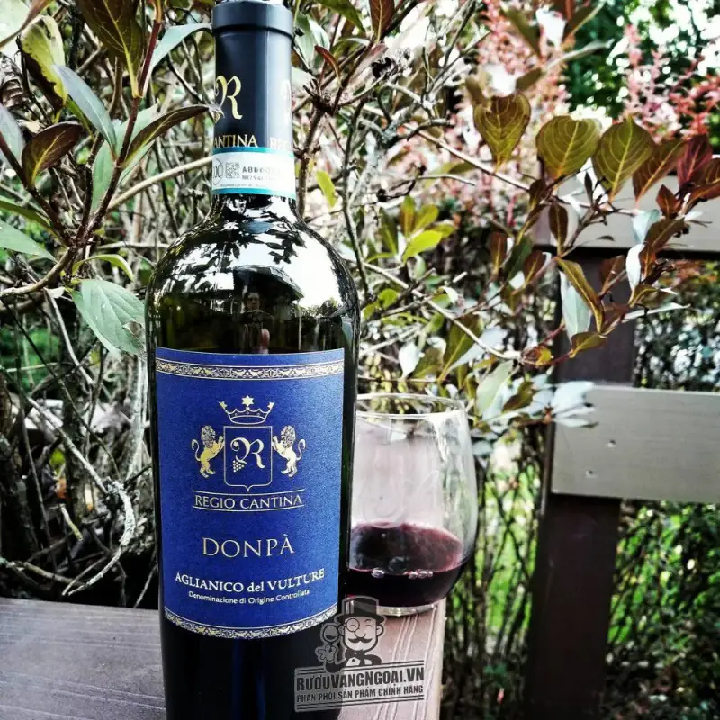 Địa chỉ bán vang y regio cantina donpa aglianico del vulture giá rẻ tại Sài Gòn