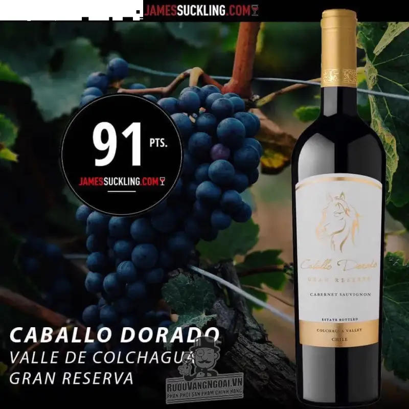 Vang Chile Caballo Dorado Reserva Cabernet Sauvignon