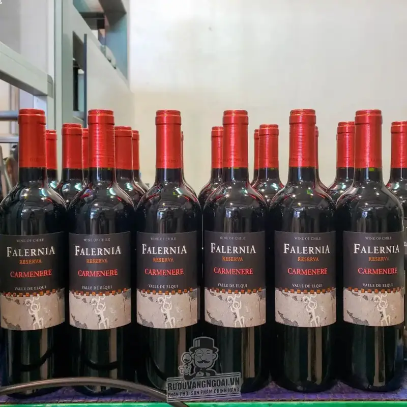 Vang Chile Falernia Merlot Reserva
