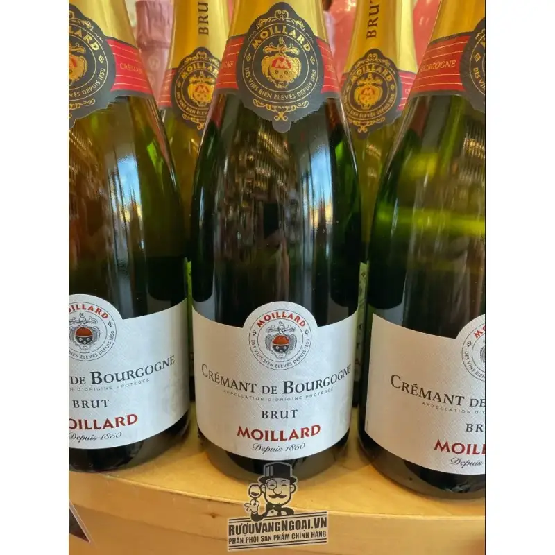 Rượu Vang Pháp MOILLARD POUILLY FUISSE