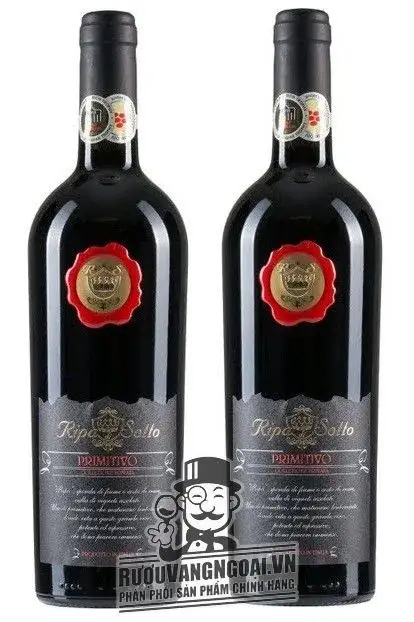 Vang Ý RIPA DI SOTTO PRIMITIVO